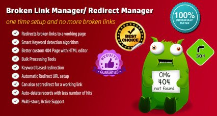 Broken Link Manager /Auto Redirect Manager image