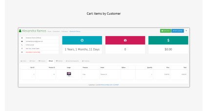 Customer Dashboard PRO Extensions & Modules image