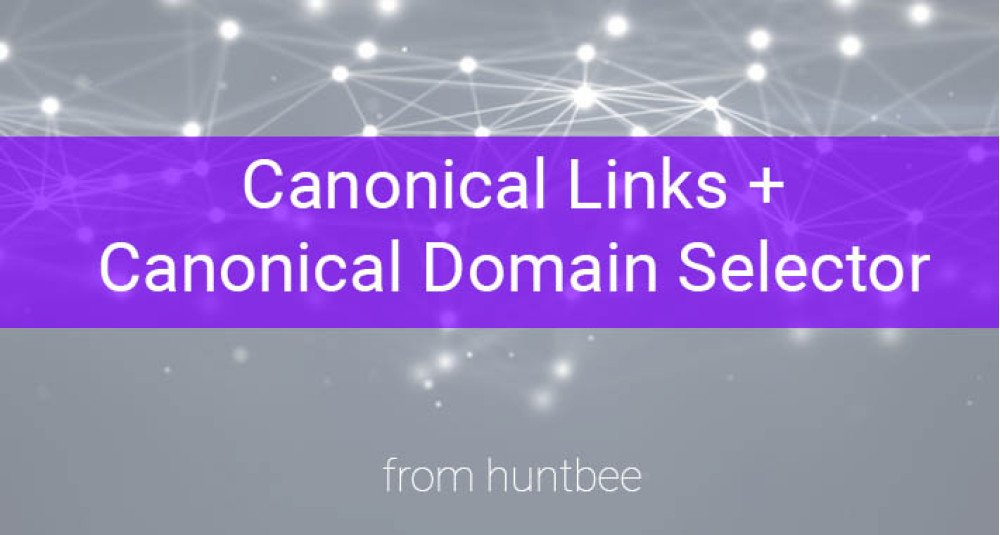 OpenCart Canonical Link + Canonical Domain Selector image